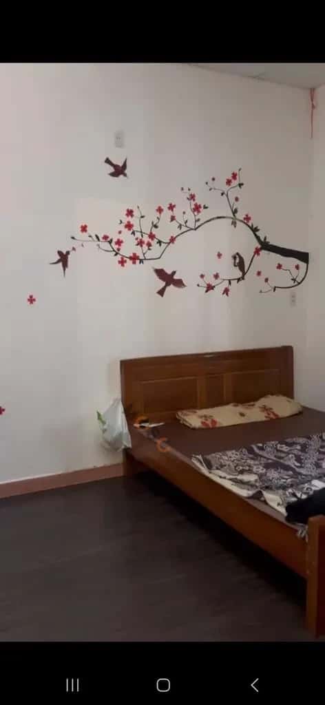 Cho thuê nhà hẻm Trần Văn Dư Ngũ Hành Sơn, Đà Nẵng – 3 phòng ngủ, giá 18 triệu — Hình 3 Cho thuê nhà hẻm Trần Văn Dư Ngũ Hành Sơn, Đà Nẵng – 3 phòng ngủ, giá 18 triệu — Hình 3