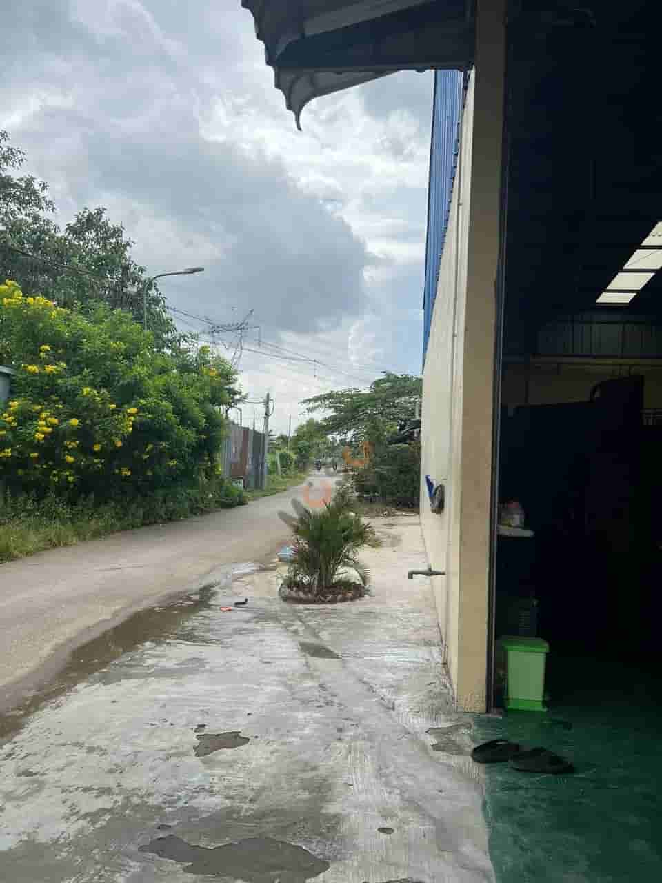 Image Image