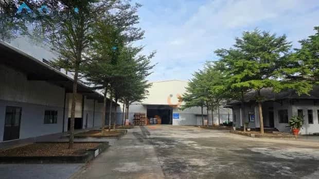 Cho thuê kho, nhà xưởng Biên Hòa, Dong Nai City – giá 380 triệu Cho thuê kho, nhà xưởng Biên Hòa, Dong Nai City – giá 380 triệu