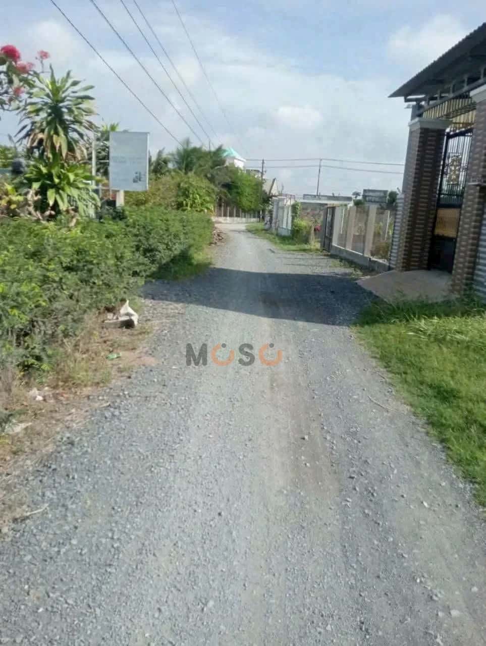 Bán đất đường Xóm Đình Huyện Cần Đước, Long An – giá 699 triệu — Hình 2 Bán đất đường Xóm Đình Huyện Cần Đước, Long An – giá 699 triệu — Hình 2