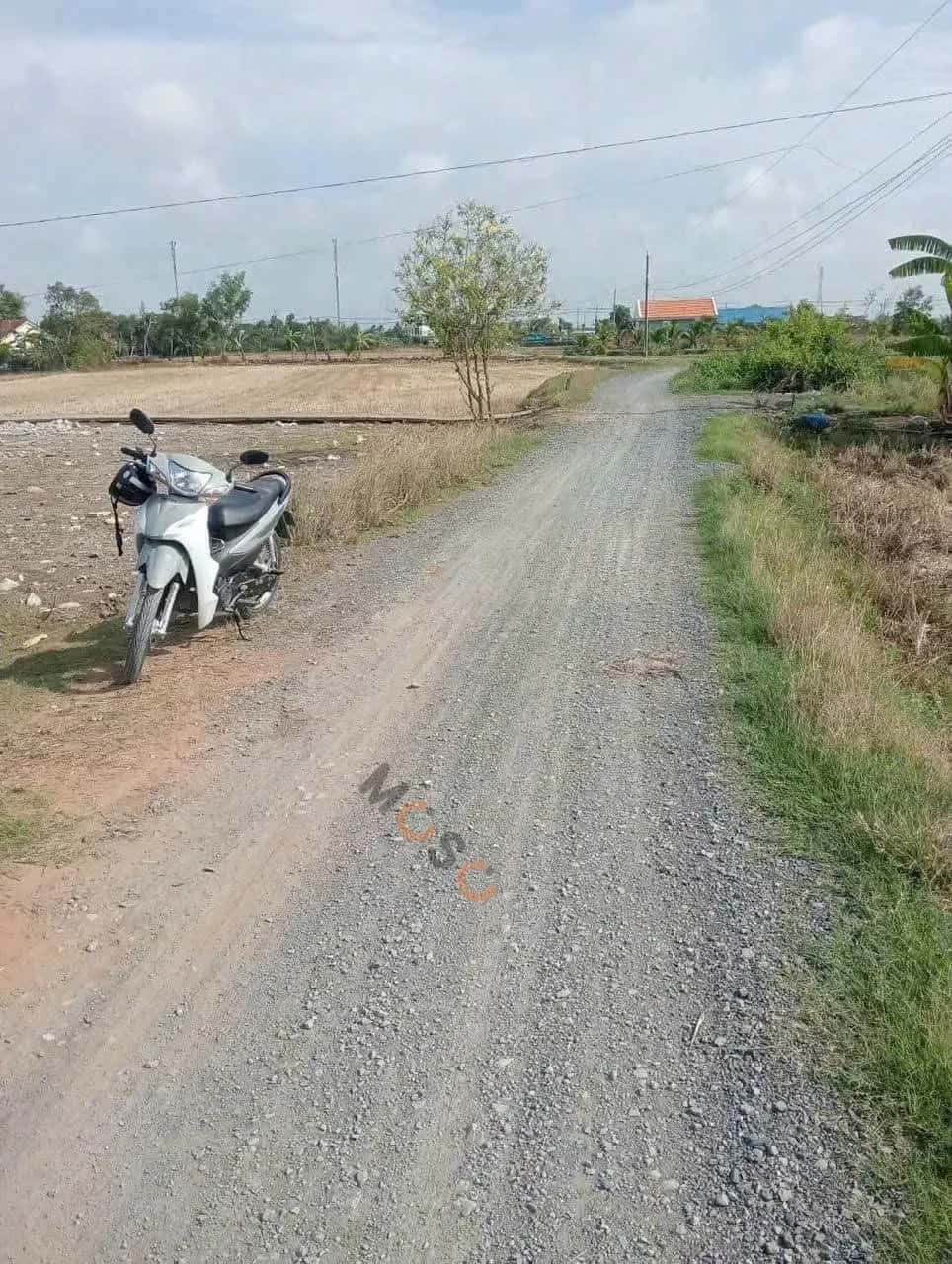 Bán đất đường Xóm Đình Huyện Cần Đước, Long An – giá 699 triệu — Hình 3 Bán đất đường Xóm Đình Huyện Cần Đước, Long An – giá 699 triệu — Hình 3