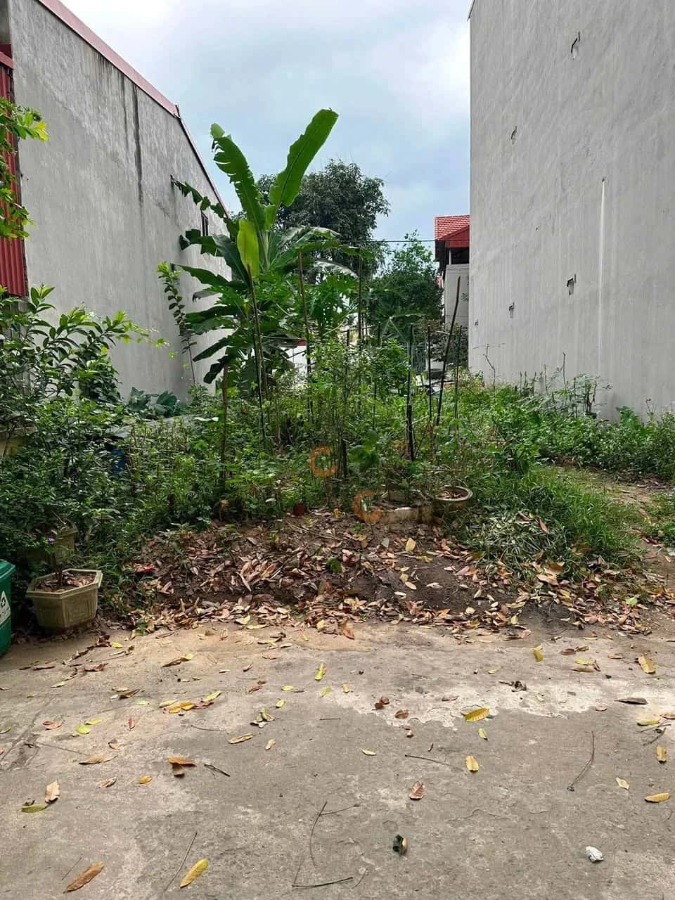 Bán đất Thôn Yên Trình Huyện Vĩnh Tường, Vĩnh Phúc – giá 1.5 tỷ — Hình 2 Bán đất Thôn Yên Trình Huyện Vĩnh Tường, Vĩnh Phúc – giá 1.5 tỷ — Hình 2