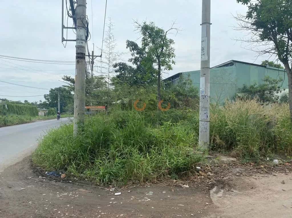 Cho thuê đất Võ Văn Bích Huyện Củ Chi, TP.HCM – giá 2 triệu — Hình 2 Cho thuê đất Võ Văn Bích Huyện Củ Chi, TP.HCM – giá 2 triệu — Hình 2