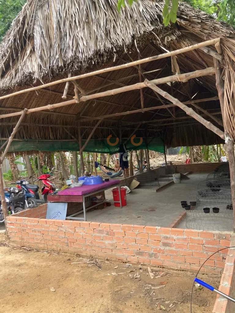 Cho thuê nhà mặt tiền Huỳnh Văn Lũy Thành phố Thủ Dầu Một, TP.HCM – giá 8 triệu — Hình 3 Cho thuê nhà mặt tiền Huỳnh Văn Lũy Thành phố Thủ Dầu Một, TP.HCM – giá 8 triệu — Hình 3