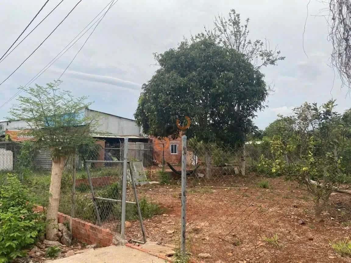 Bán đất đường số 7 Thành phố Bà Rịa, BRVT – giá 2.6 tỷ — Hình 2 Bán đất đường số 7 Thành phố Bà Rịa, BRVT – giá 2.6 tỷ — Hình 2