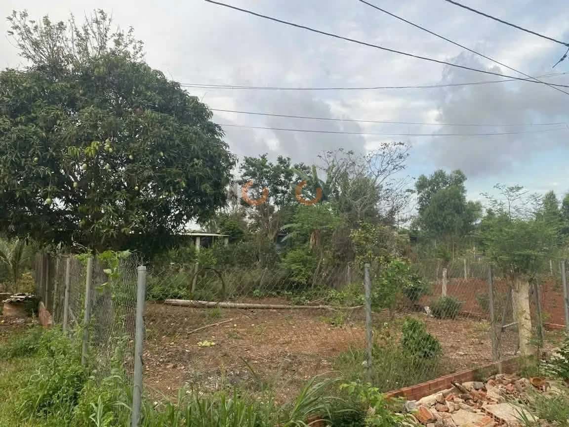 Bán đất đường số 7 Thành phố Bà Rịa, BRVT – giá 2.6 tỷ — Hình 3 Bán đất đường số 7 Thành phố Bà Rịa, BRVT – giá 2.6 tỷ — Hình 3