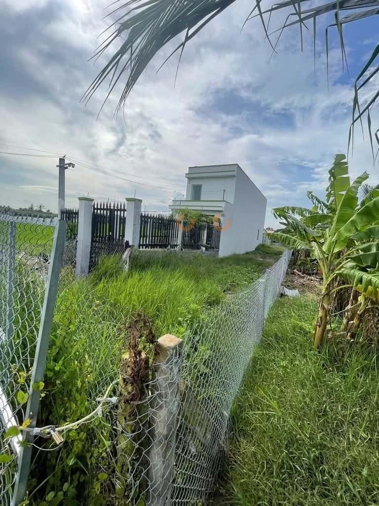 Bán đất Lê Văn Bèo Huyện Tân Trụ, Long An – giá 850 triệu — Hình 3 Bán đất Lê Văn Bèo Huyện Tân Trụ, Long An – giá 850 triệu — Hình 3