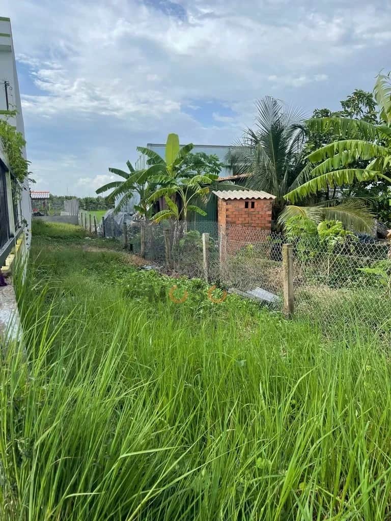 Bán đất Lê Văn Bèo Huyện Tân Trụ, Long An – giá 850 triệu Bán đất Lê Văn Bèo Huyện Tân Trụ, Long An – giá 850 triệu
