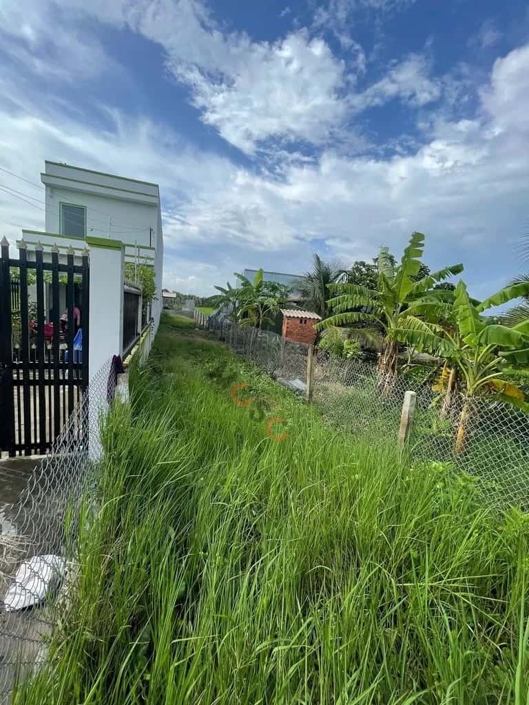 Bán đất Lê Văn Bèo Huyện Tân Trụ, Long An – giá 850 triệu — Hình 2 Bán đất Lê Văn Bèo Huyện Tân Trụ, Long An – giá 850 triệu — Hình 2