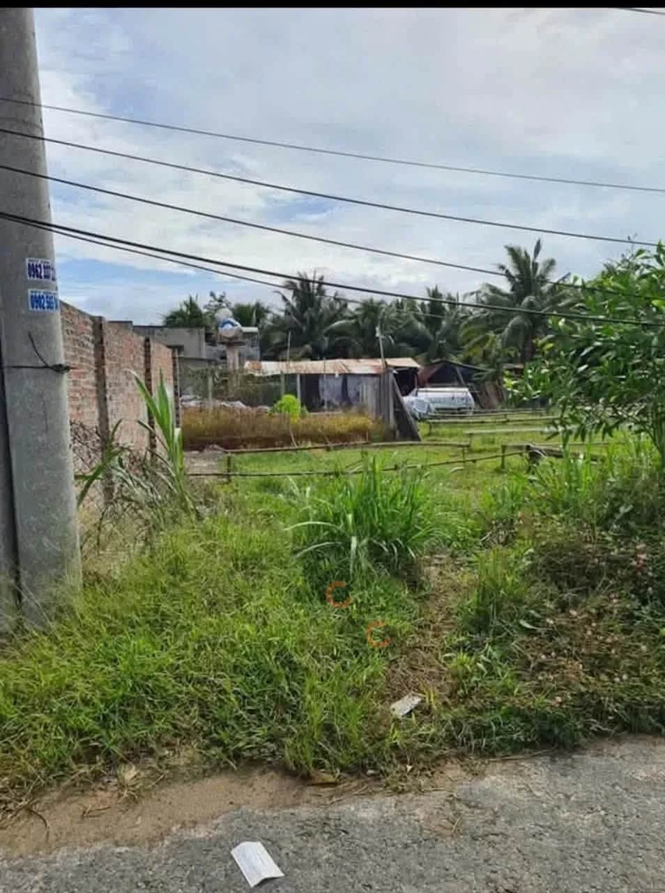 Bán đất Ấp Phước Hội Huyện Gò Dầu, Tây Ninh – giá 320 triệu Bán đất Ấp Phước Hội Huyện Gò Dầu, Tây Ninh – giá 320 triệu