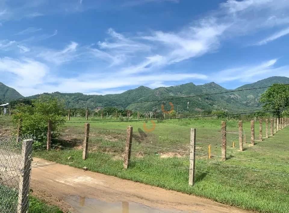 Bán đất Thôn Lập Lá Huyện Ninh Sơn, Ninh Thuận – giá 275 triệu — Hình 2 Bán đất Thôn Lập Lá Huyện Ninh Sơn, Ninh Thuận – giá 275 triệu — Hình 2
