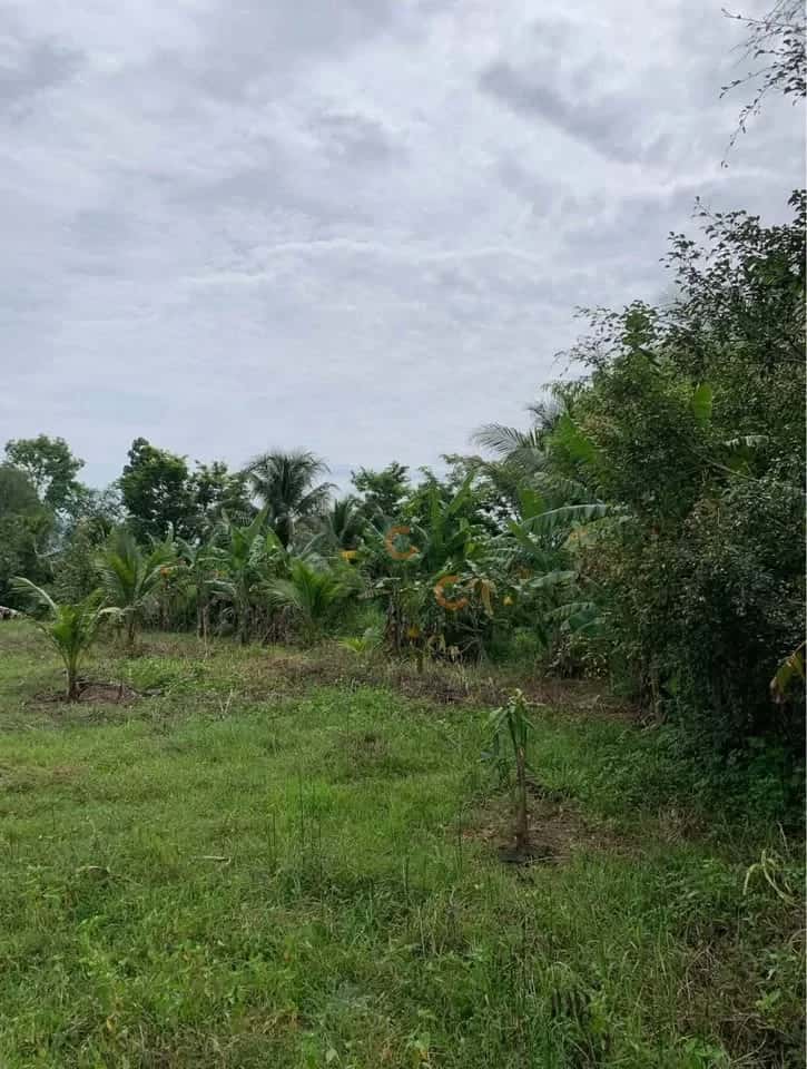 Bán đất Thôn Lập Lá Huyện Ninh Sơn, Ninh Thuận – giá 360 triệu — Hình 2 Bán đất Thôn Lập Lá Huyện Ninh Sơn, Ninh Thuận – giá 360 triệu — Hình 2
