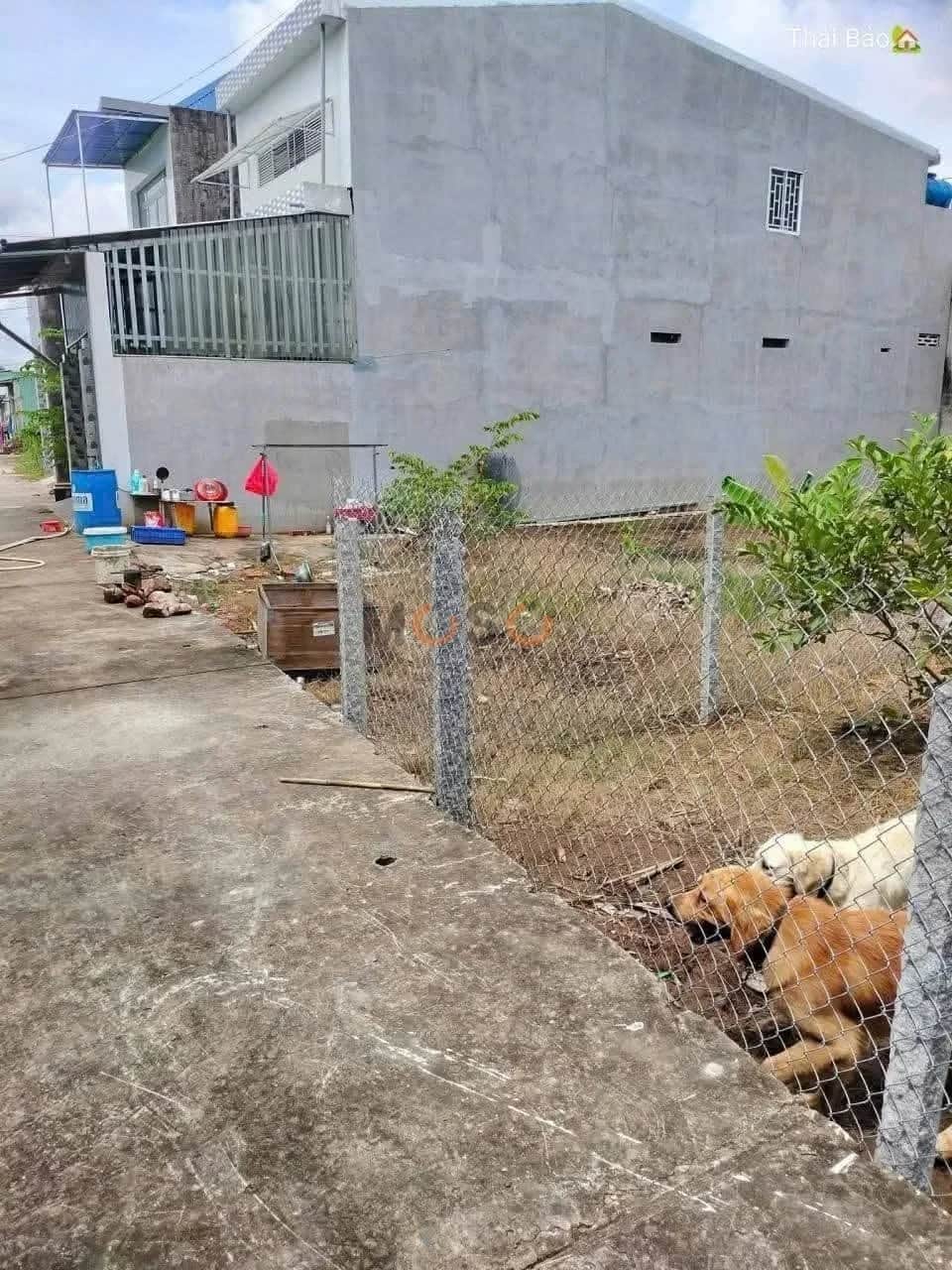Bán đất đường HL71B, Ấp Hòa Phúc Huyện Cái Bè, Tiền Giang – giá 900 triệu Bán đất đường HL71B, Ấp Hòa Phúc Huyện Cái Bè, Tiền Giang – giá 900 triệu