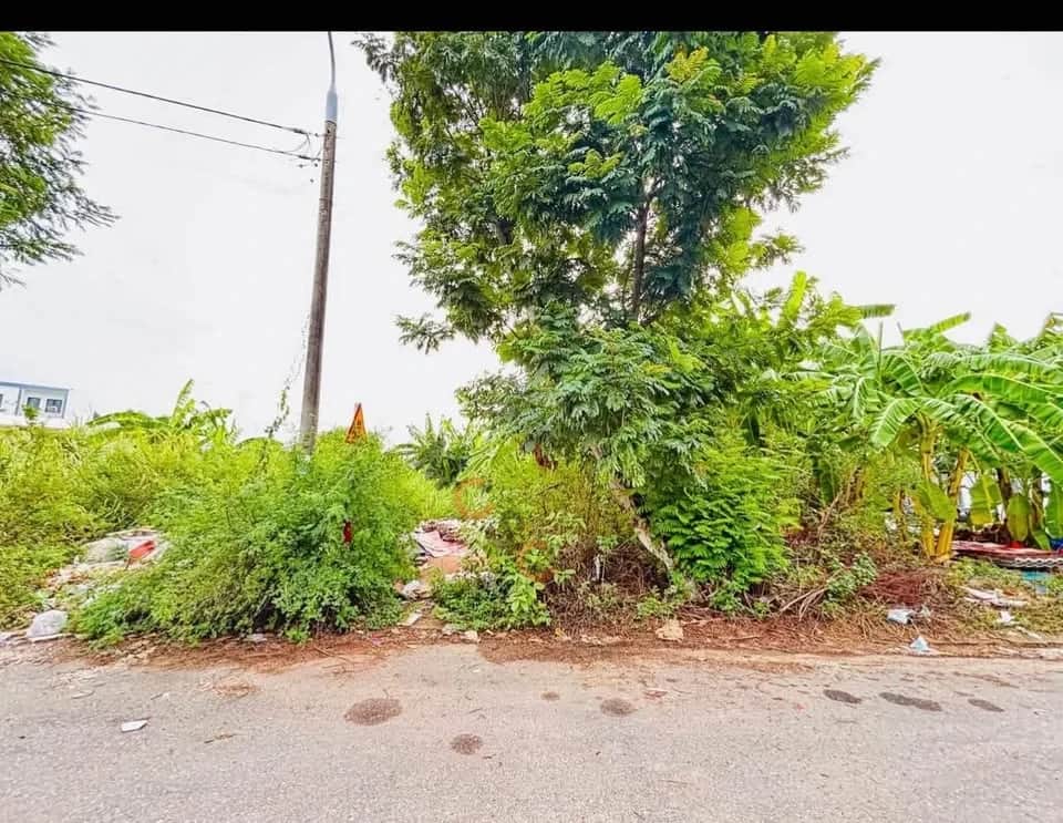 Bán đất Miếu Bông 4 Huyện Hòa Vang, TP. Đà Nẵng – giá 3.7 tỷ Bán đất Miếu Bông 4 Huyện Hòa Vang, TP. Đà Nẵng – giá 3.7 tỷ