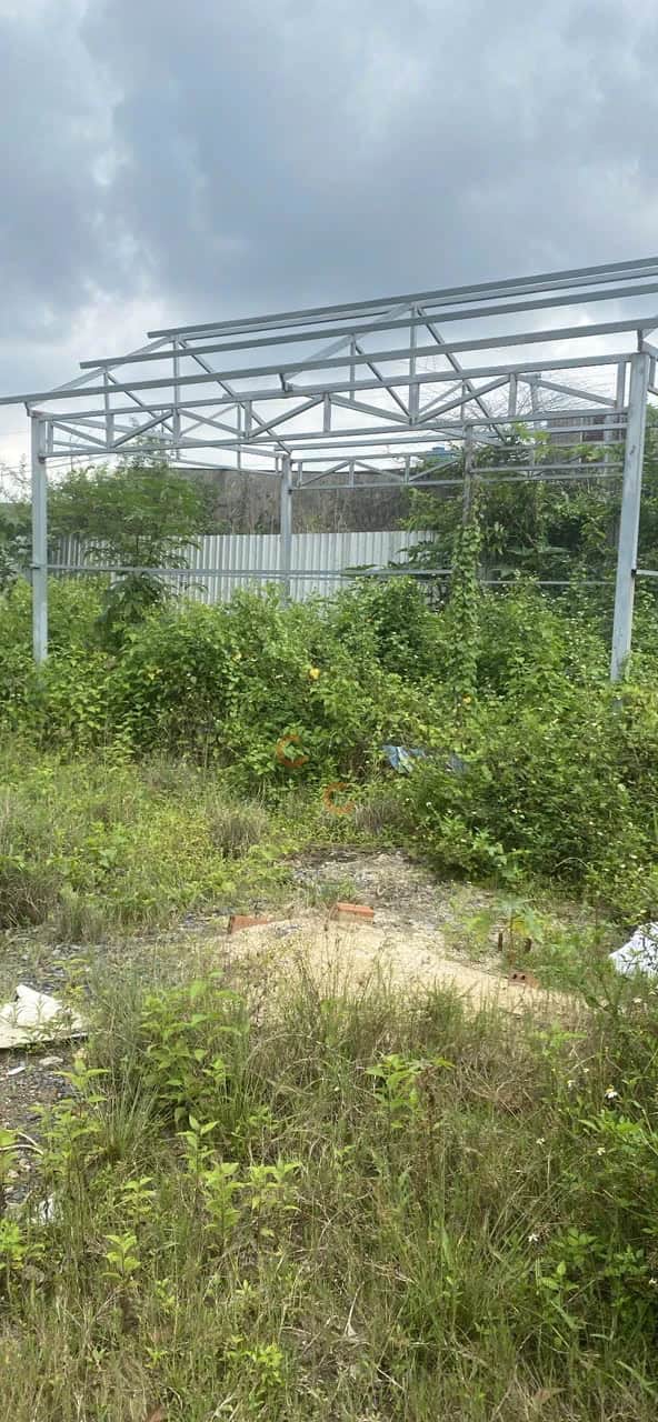 Bán đất Kênh Trung Ương-Bộ Đội An Điền Huyện Bình Chánh, TP.HCM – giá 11 tỷ Bán đất Kênh Trung Ương-Bộ Đội An Điền Huyện Bình Chánh, TP.HCM – giá 11 tỷ