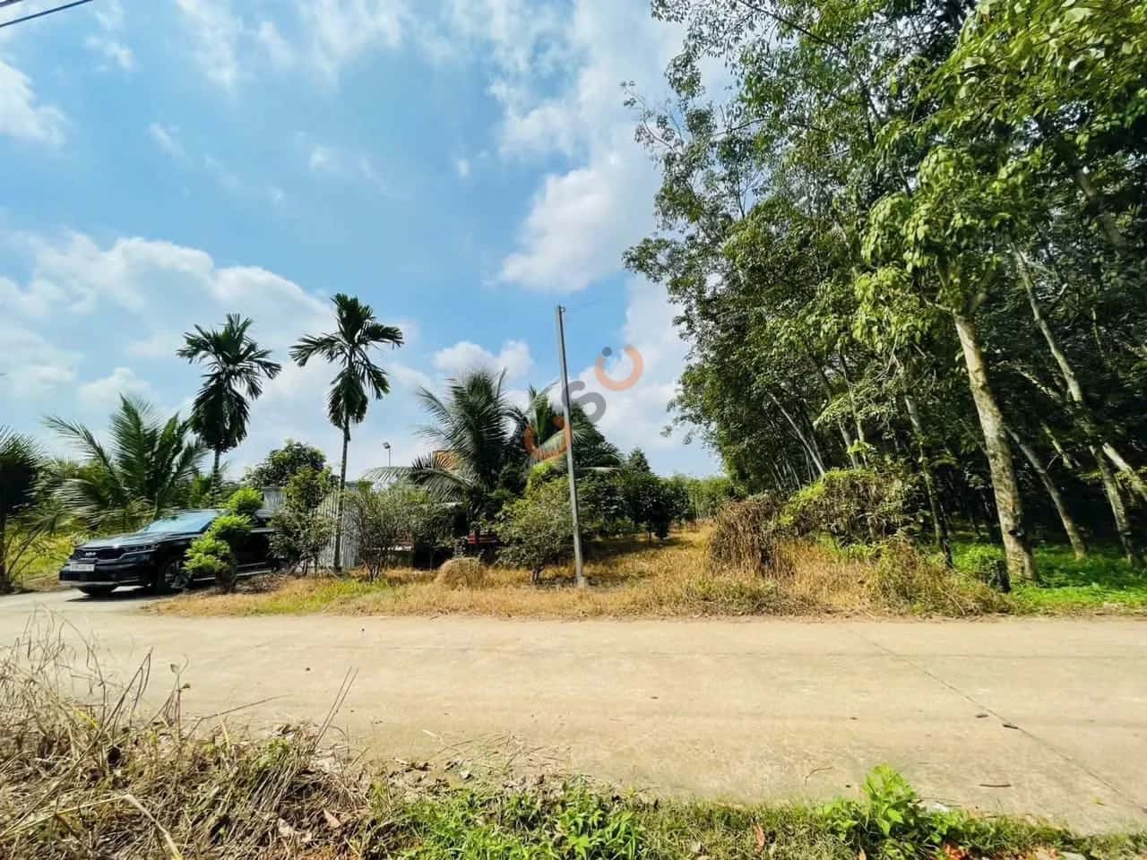 Bán đất Long Nguyên 98 Huyện Bàu Bàng, Bình Dương – giá 890 triệu — Hình 2 Bán đất Long Nguyên 98 Huyện Bàu Bàng, Bình Dương – giá 890 triệu — Hình 2