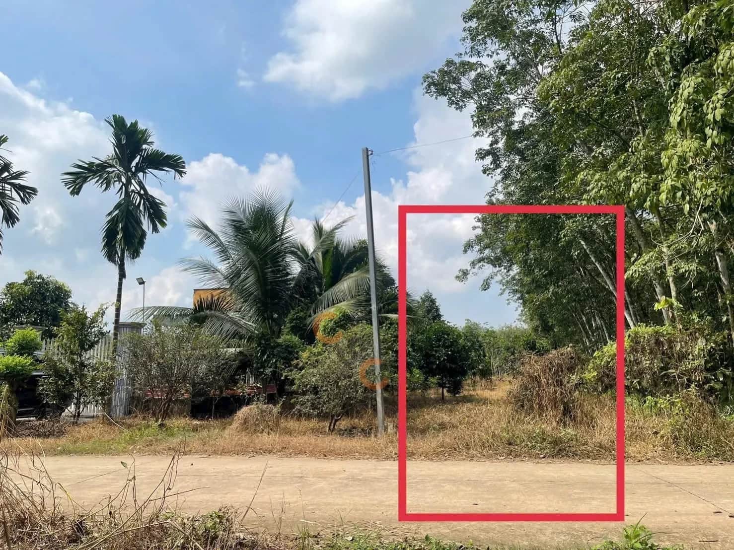 Bán đất Long Nguyên 98 Huyện Bàu Bàng, Bình Dương – giá 890 triệu Bán đất Long Nguyên 98 Huyện Bàu Bàng, Bình Dương – giá 890 triệu
