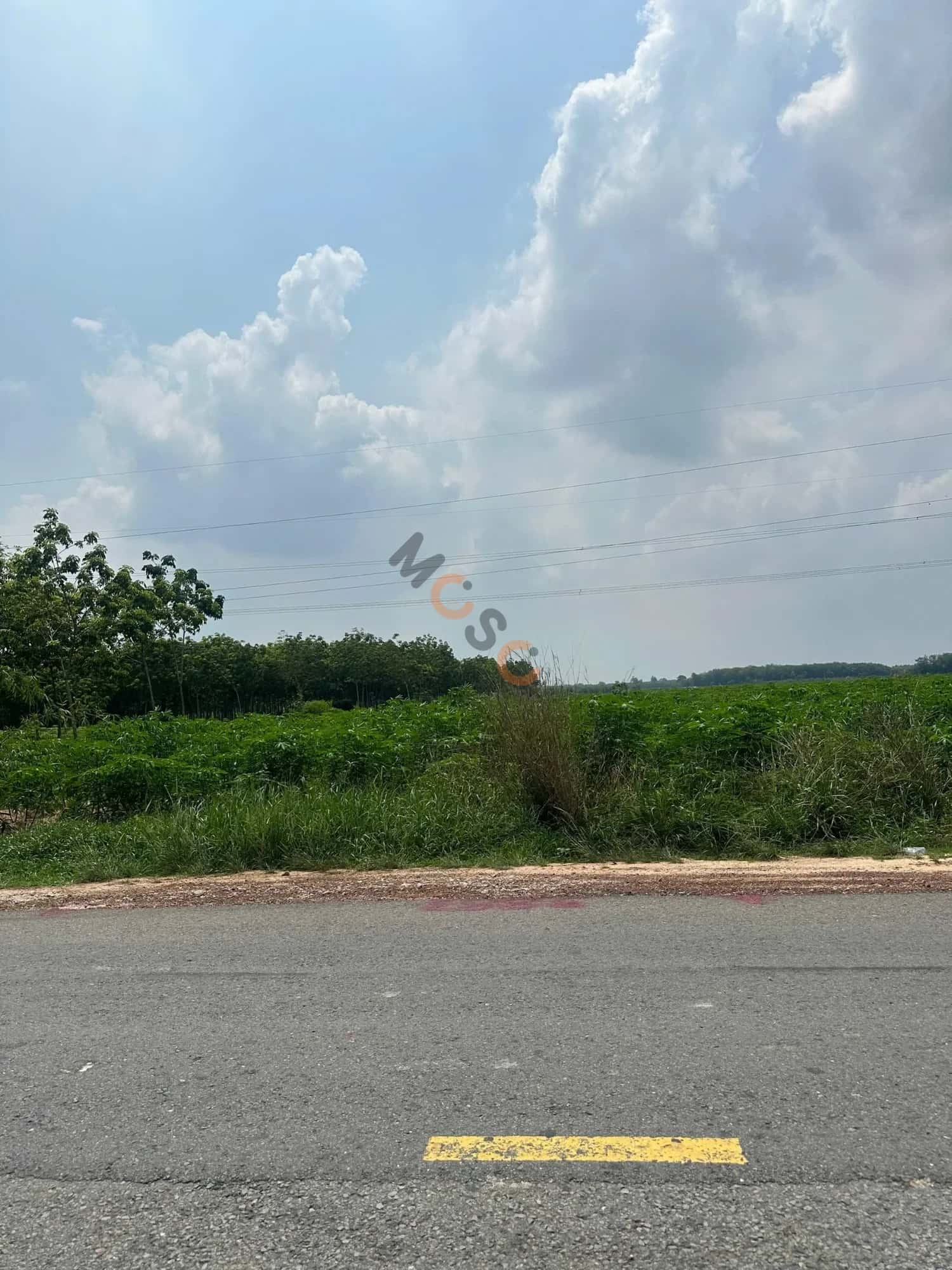 Bán đất đường DT 744 Huyện Dầu Tiếng, Bình Dương – giá 700 triệu — Hình 2 Bán đất đường DT 744 Huyện Dầu Tiếng, Bình Dương – giá 700 triệu — Hình 2