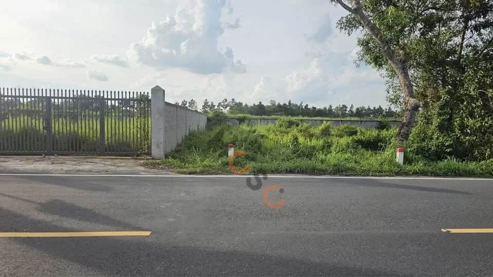 Bán đất Tỉnh Lộ 7 Huyện Củ Chi, TP.HCM – giá 1.8 tỷ Bán đất Tỉnh Lộ 7 Huyện Củ Chi, TP.HCM – giá 1.8 tỷ