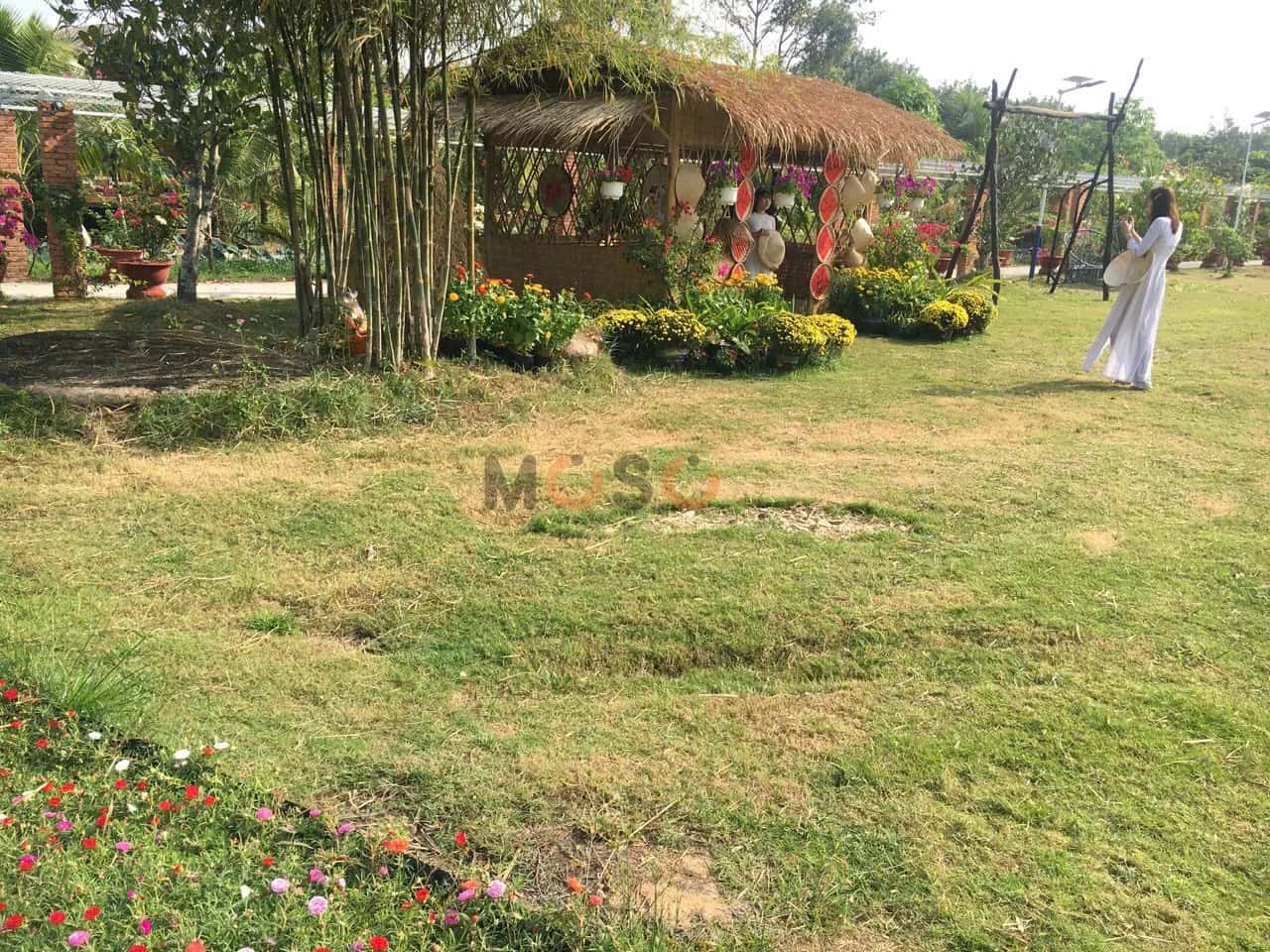 Bán đất An Điền Thành phố Bến Cát, Bình Dương – giá 22 tỷ — Hình 3 Bán đất An Điền Thành phố Bến Cát, Bình Dương – giá 22 tỷ — Hình 3