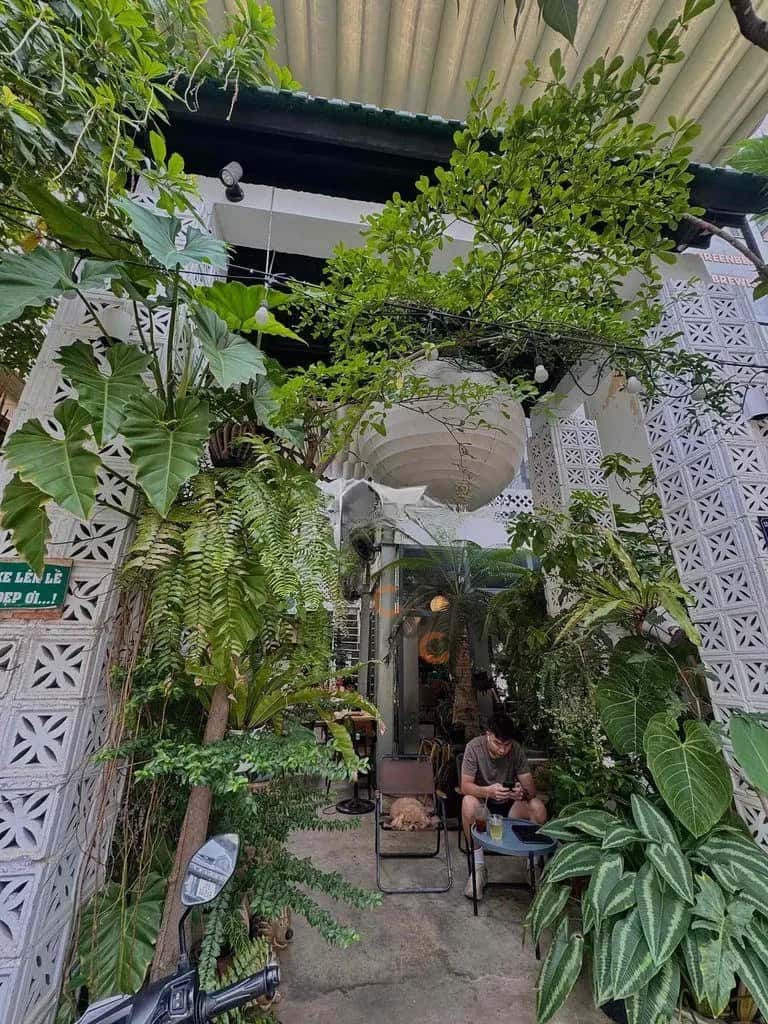 Cho thuê nhà mặt tiền Đường Hoa Lan Quận Phú Nhuận, TP.HCM – giá 8.2 triệu — Hình 3 Cho thuê nhà mặt tiền Đường Hoa Lan Quận Phú Nhuận, TP.HCM – giá 8.2 triệu — Hình 3