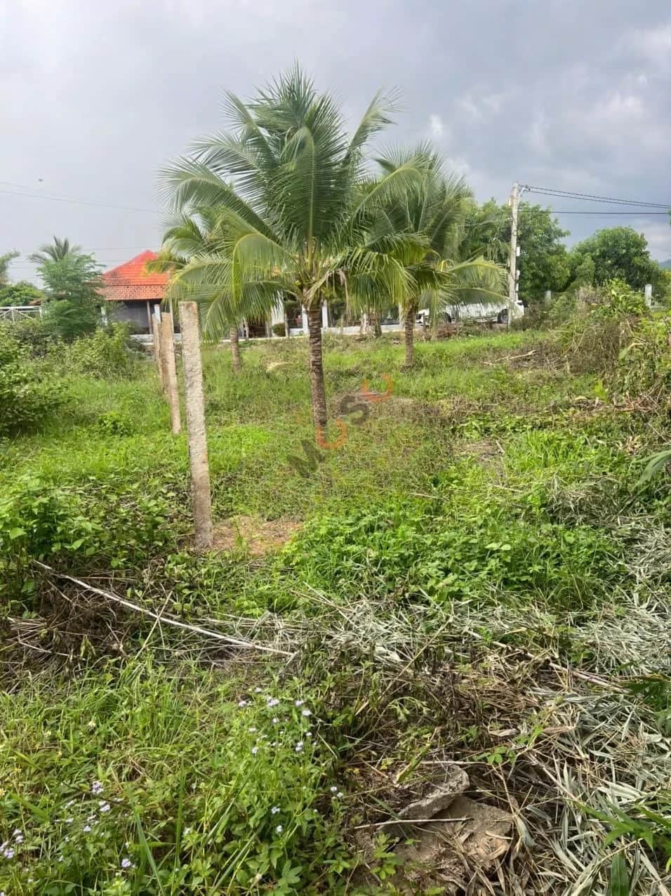 Bán đất hẻm đường DT 7 Thị xã Ninh Hòa, Khánh Hòa – giá 450 triệu Bán đất hẻm đường DT 7 Thị xã Ninh Hòa, Khánh Hòa – giá 450 triệu