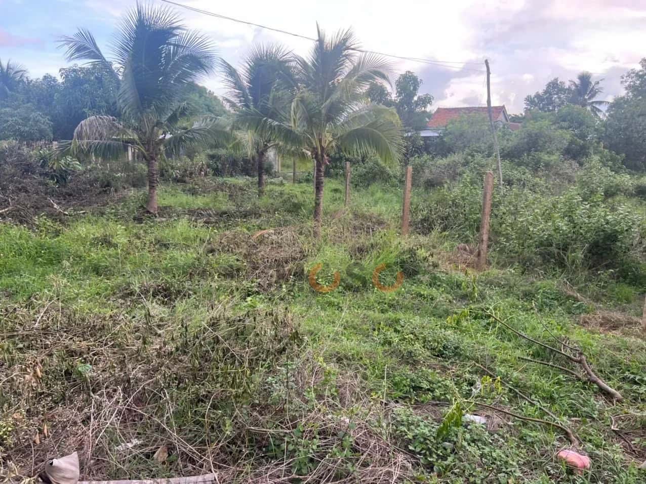 Bán đất hẻm đường DT 7 Thị xã Ninh Hòa, Khánh Hòa – giá 450 triệu — Hình 3 Bán đất hẻm đường DT 7 Thị xã Ninh Hòa, Khánh Hòa – giá 450 triệu — Hình 3