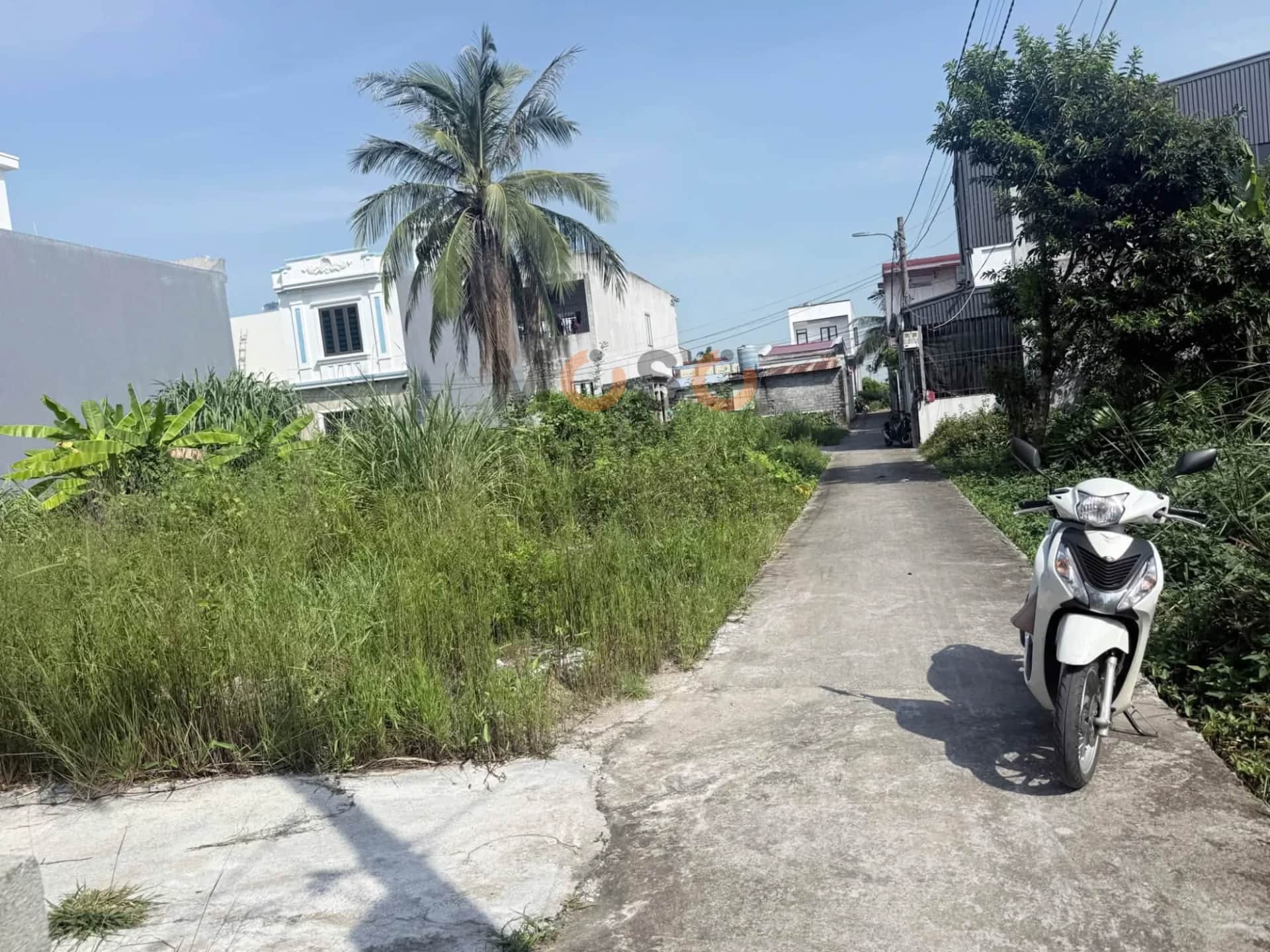 Bán đất Bình Minh Quận Đồ Sơn, TP. Hải Phòng – giá 799 triệu Bán đất Bình Minh Quận Đồ Sơn, TP. Hải Phòng – giá 799 triệu