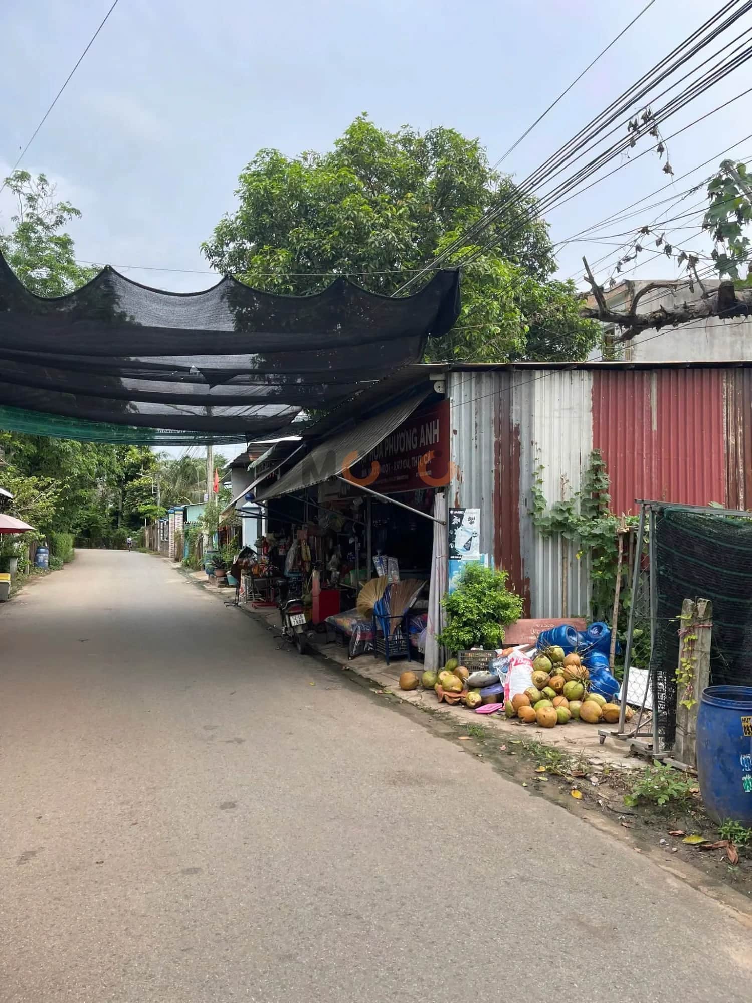 Bán đất An Tây 005 Thành phố Bến Cát, Bình Dương – giá 3.9 tỷ Bán đất An Tây 005 Thành phố Bến Cát, Bình Dương – giá 3.9 tỷ