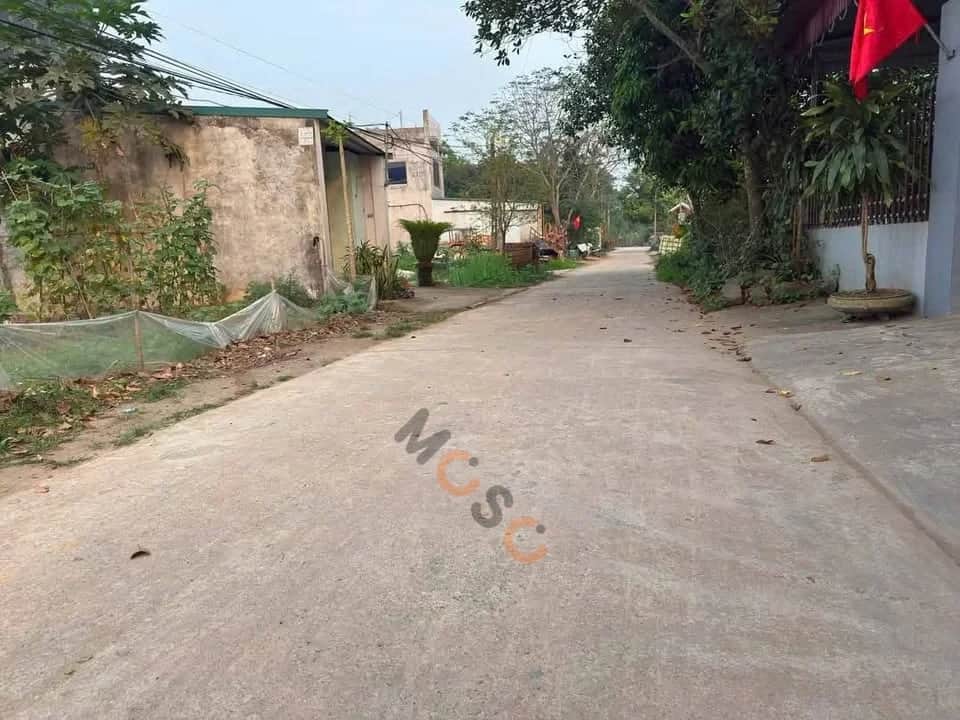 Bán đất Khu Vũ Yến Huyện Thanh Ba, Phú Thọ – giá 500 triệu Bán đất Khu Vũ Yến Huyện Thanh Ba, Phú Thọ – giá 500 triệu