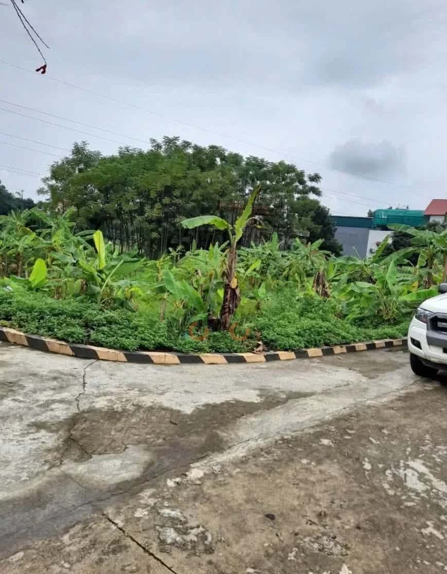 Bán đất Khu 5 Thành phố Việt Trì, Phú Thọ – giá 1.4 tỷ — Hình 2 Bán đất Khu 5 Thành phố Việt Trì, Phú Thọ – giá 1.4 tỷ — Hình 2