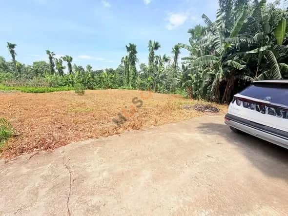Bán đất Khu 1 Huyện Hạ Hoà, Phú Thọ – giá 300 triệu Bán đất Khu 1 Huyện Hạ Hoà, Phú Thọ – giá 300 triệu