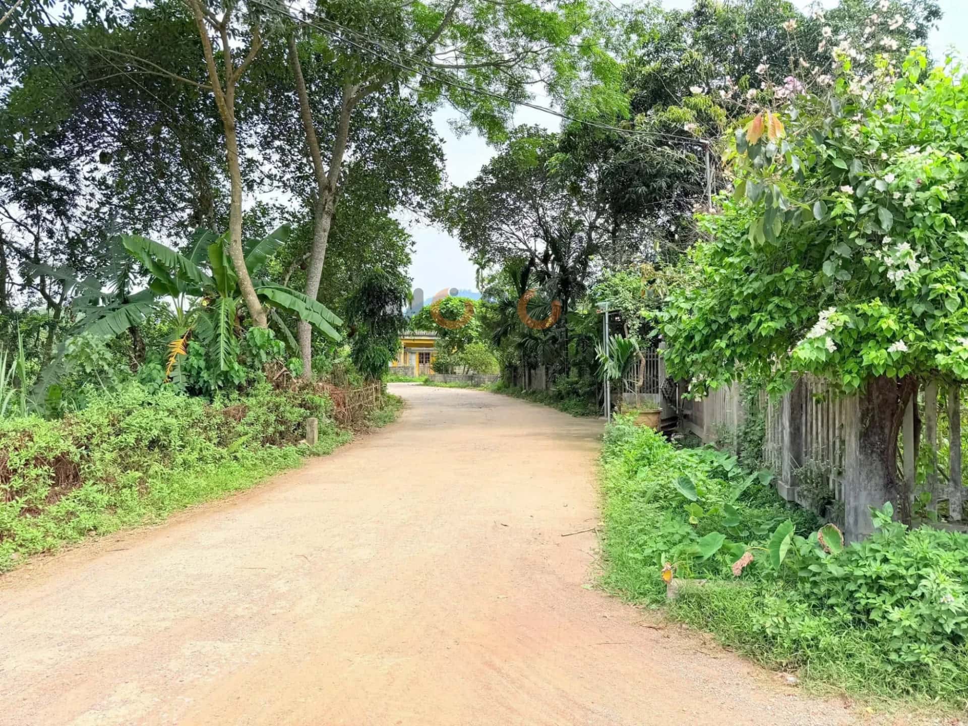 Bán đất Khu Vông Huyện Yên Lập, Phú Thọ – giá 595 triệu — Hình 2 Bán đất Khu Vông Huyện Yên Lập, Phú Thọ – giá 595 triệu — Hình 2