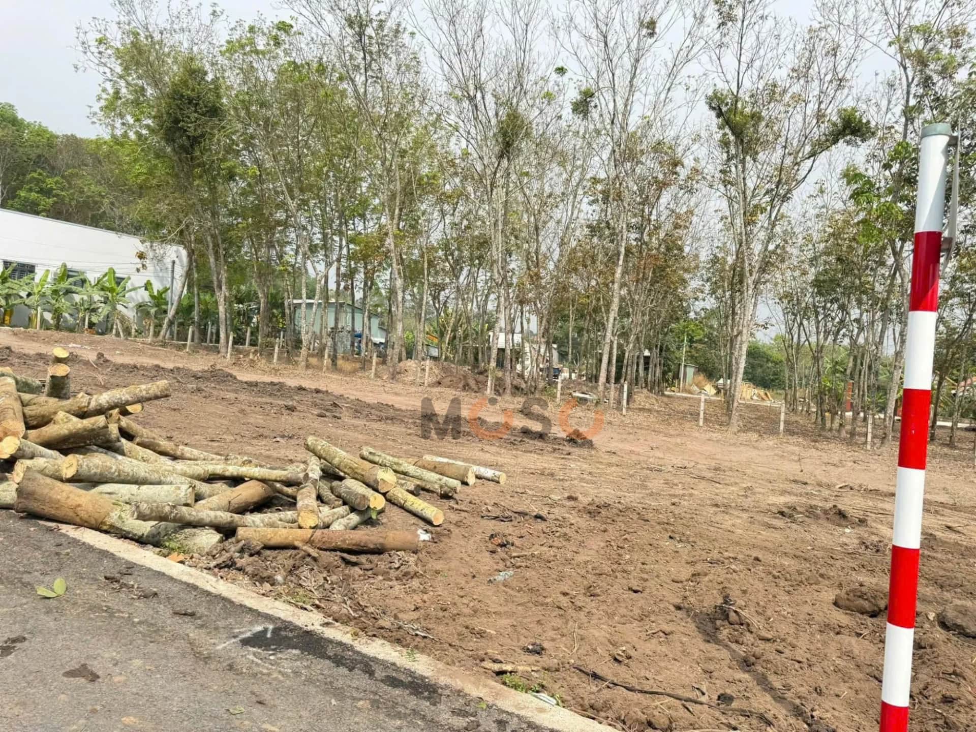 Bán đất hẻm đường ĐT 748 Thành phố Bến Cát, Bình Dương – giá 1.2 tỷ Bán đất hẻm đường ĐT 748 Thành phố Bến Cát, Bình Dương – giá 1.2 tỷ