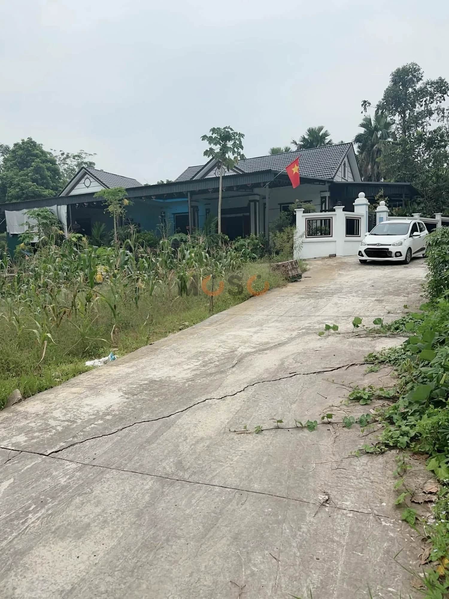 Bán đất Khu 6 Thị xã Phú Thọ, Phú Thọ – giá 450 triệu Bán đất Khu 6 Thị xã Phú Thọ, Phú Thọ – giá 450 triệu