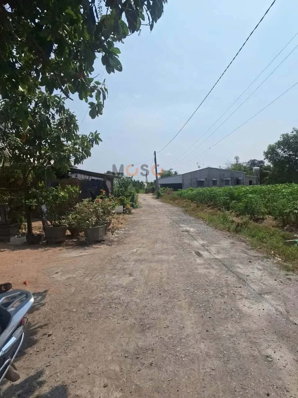 Bán đất Ấp B Huyện Bến Cầu, Tây Ninh – giá 360 triệu — Hình 3 Bán đất Ấp B Huyện Bến Cầu, Tây Ninh – giá 360 triệu — Hình 3