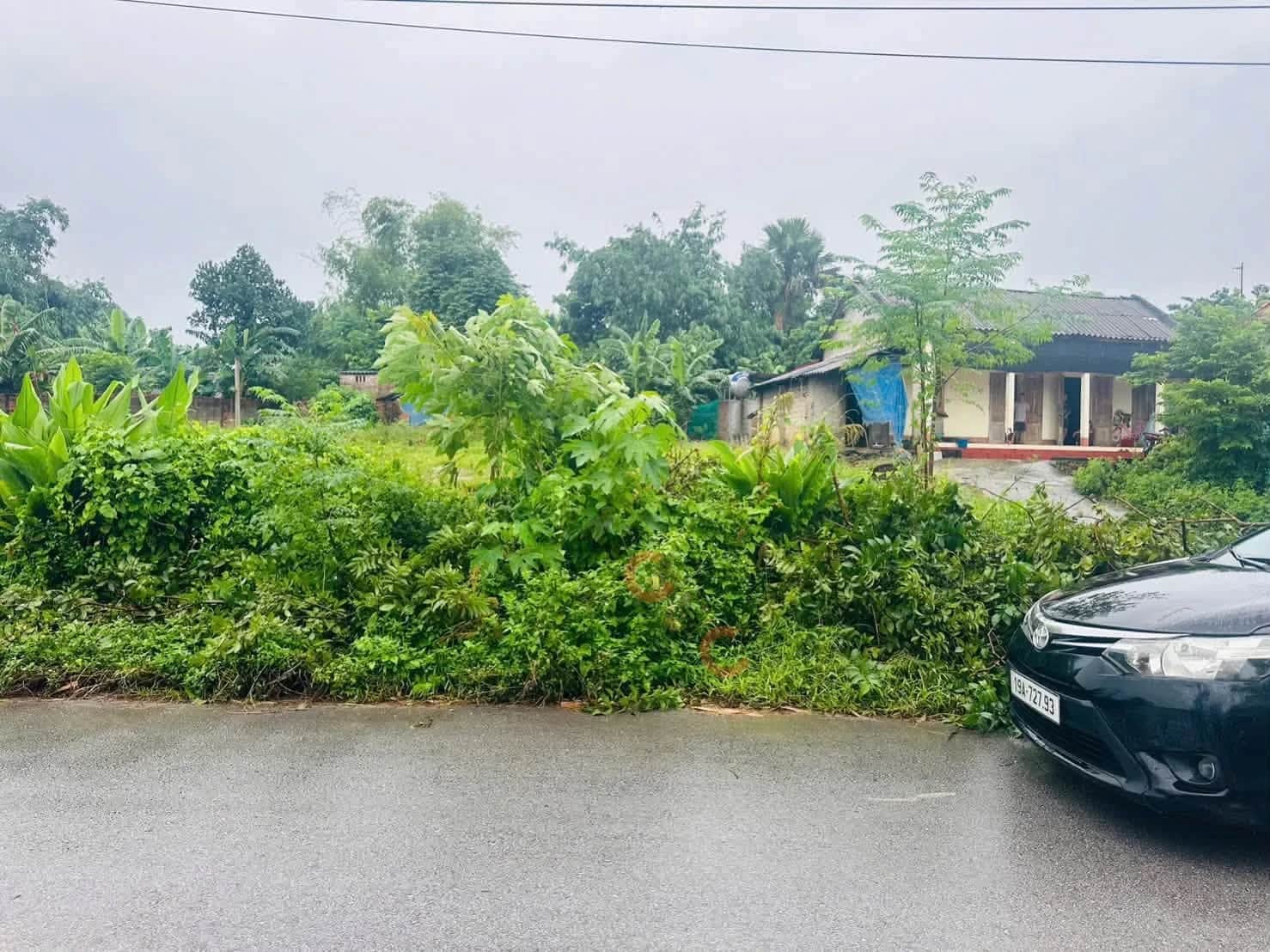 Bán đất đường tỉnh 315 Huyện Tam Nông, Phú Thọ – giá 788 triệu Bán đất đường tỉnh 315 Huyện Tam Nông, Phú Thọ – giá 788 triệu