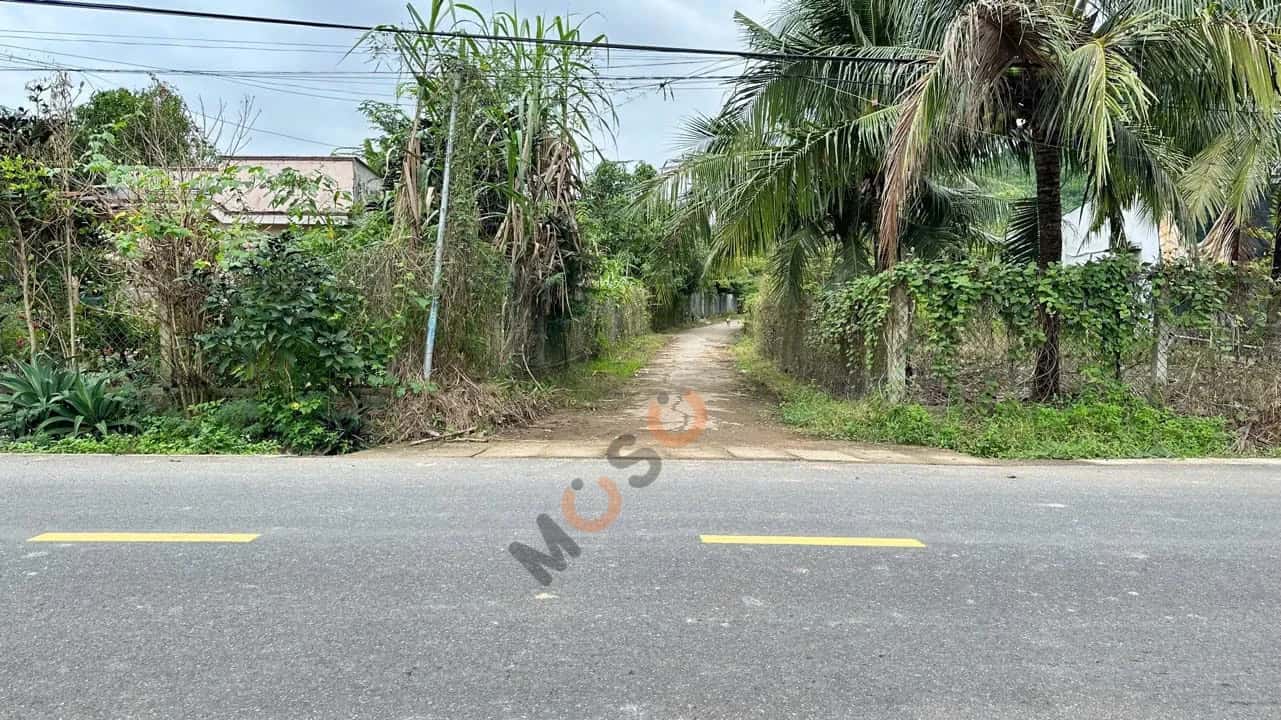 Bán đất hẻm đường HL 62 Huyện Diên Khánh, Khánh Hòa – giá 299 triệu — Hình 3 Bán đất hẻm đường HL 62 Huyện Diên Khánh, Khánh Hòa – giá 299 triệu — Hình 3