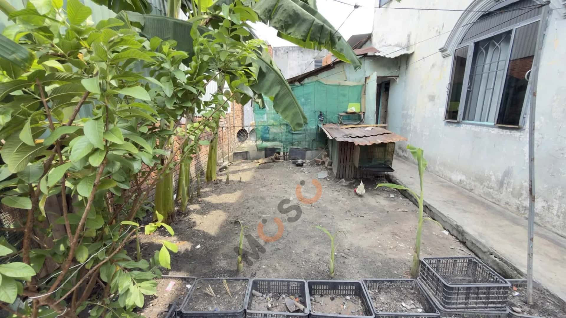 Bán đất Song Hành Huyện Hóc Môn, TP.HCM – giá 2.8 tỷ — Hình 2 Bán đất Song Hành Huyện Hóc Môn, TP.HCM – giá 2.8 tỷ — Hình 2