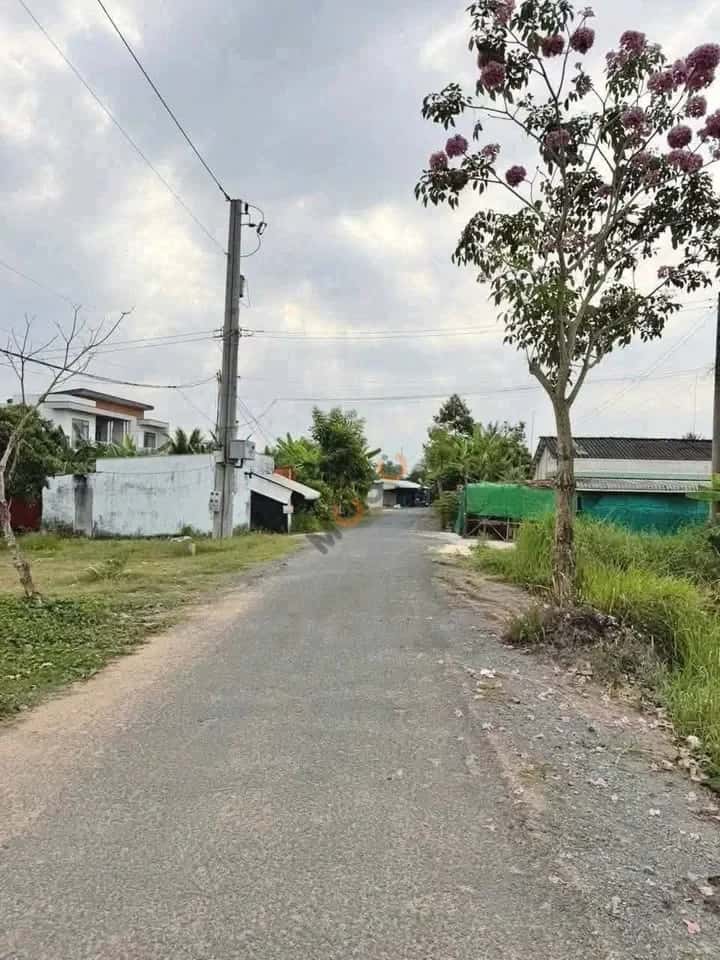 Bán đất Lê Thị Trâm Thành phố Tân An, Long An – giá 800 triệu — Hình 2 Bán đất Lê Thị Trâm Thành phố Tân An, Long An – giá 800 triệu — Hình 2