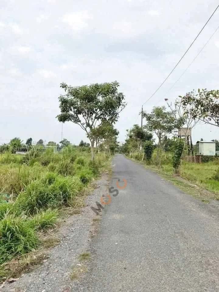 Bán đất Lê Thị Trâm Thành phố Tân An, Long An – giá 800 triệu — Hình 3 Bán đất Lê Thị Trâm Thành phố Tân An, Long An – giá 800 triệu — Hình 3