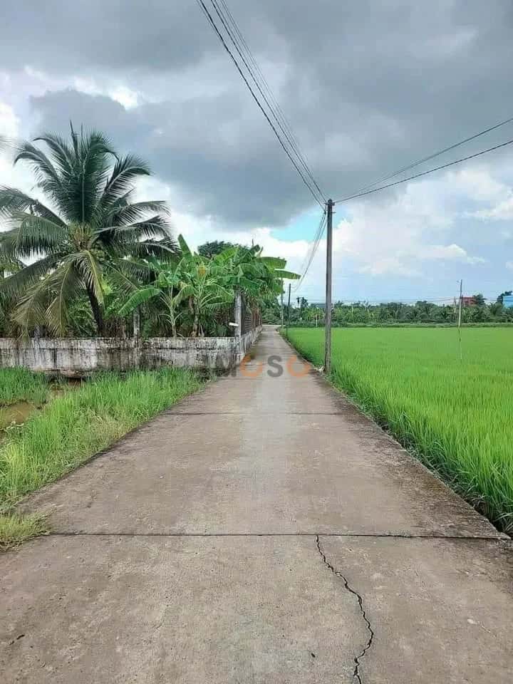 Bán đất Châu Văn Bảy Thành phố Tân An, Long An – giá 1 tỷ — Hình 3 Bán đất Châu Văn Bảy Thành phố Tân An, Long An – giá 1 tỷ — Hình 3