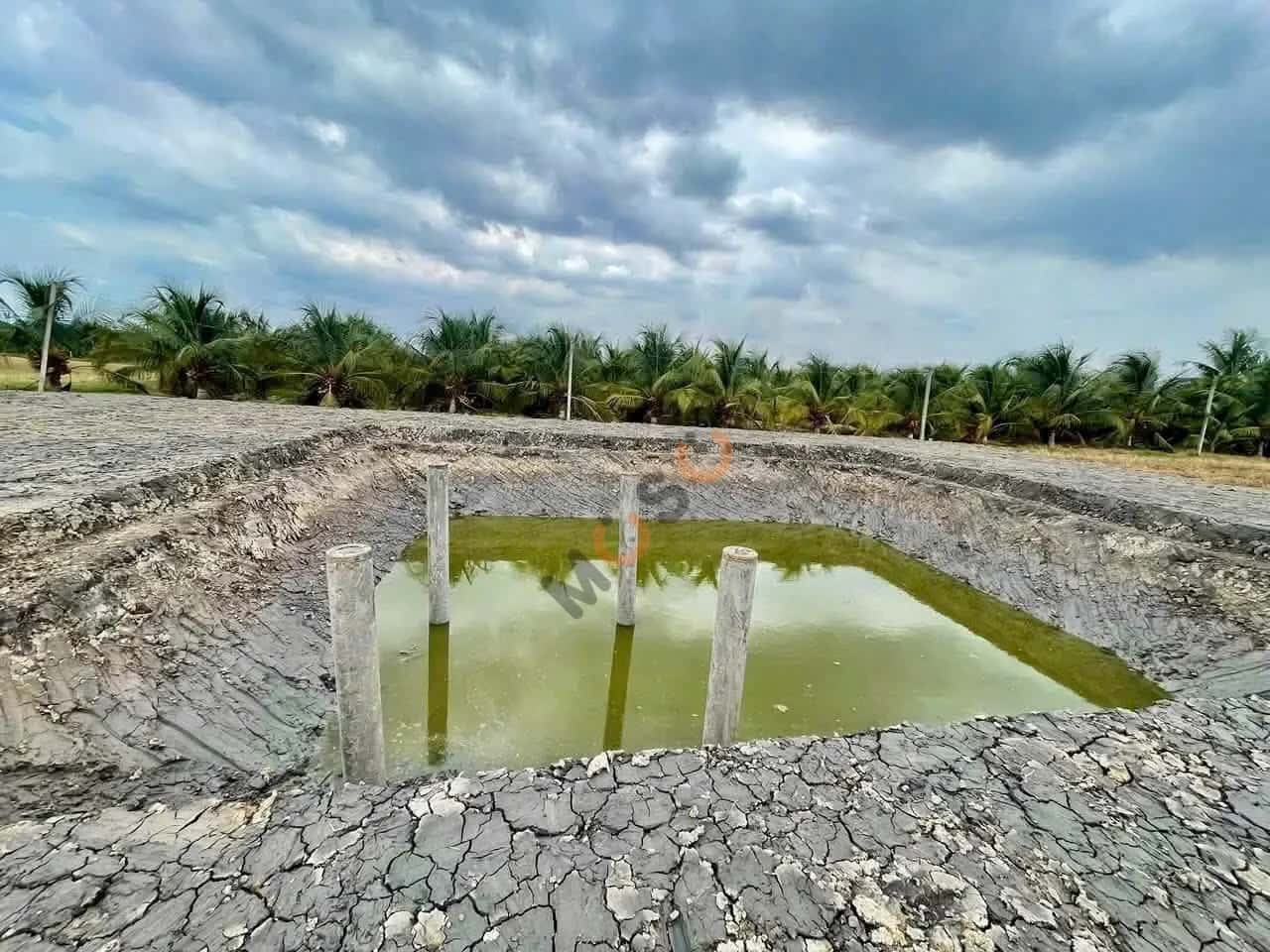 Bán đất hẻm Nguyễn Văn Quá Thành phố Tân An, Long An – giá 550 triệu — Hình 2 Bán đất hẻm Nguyễn Văn Quá Thành phố Tân An, Long An – giá 550 triệu — Hình 2
