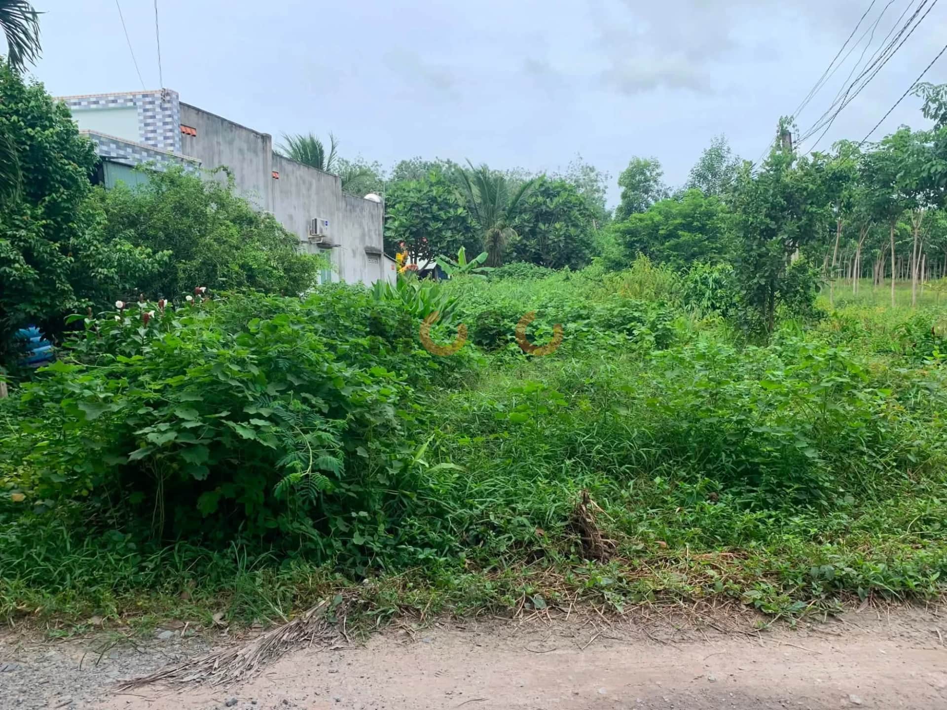 Bán đất Ấp Rộc A Huyện Gò Dầu, Tây Ninh – giá 420 triệu Bán đất Ấp Rộc A Huyện Gò Dầu, Tây Ninh – giá 420 triệu