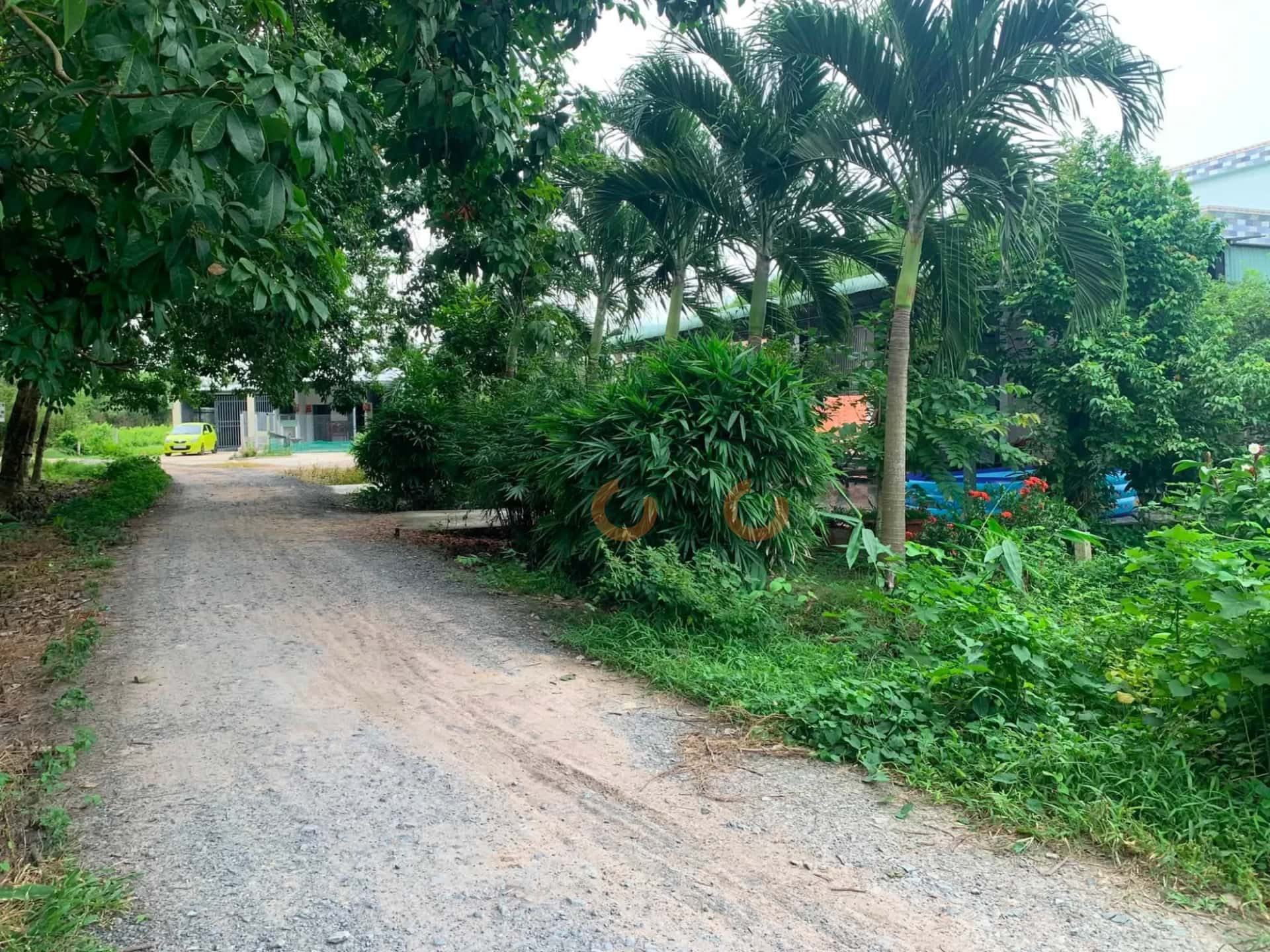 Bán đất Ấp Rộc A Huyện Gò Dầu, Tây Ninh – giá 420 triệu — Hình 3 Bán đất Ấp Rộc A Huyện Gò Dầu, Tây Ninh – giá 420 triệu — Hình 3