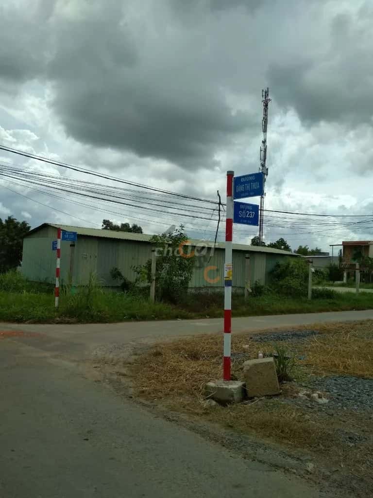Bán đất đường 237 Huyện Củ Chi, TP.HCM – giá 1.5 tỷ — Hình 3 Bán đất đường 237 Huyện Củ Chi, TP.HCM – giá 1.5 tỷ — Hình 3