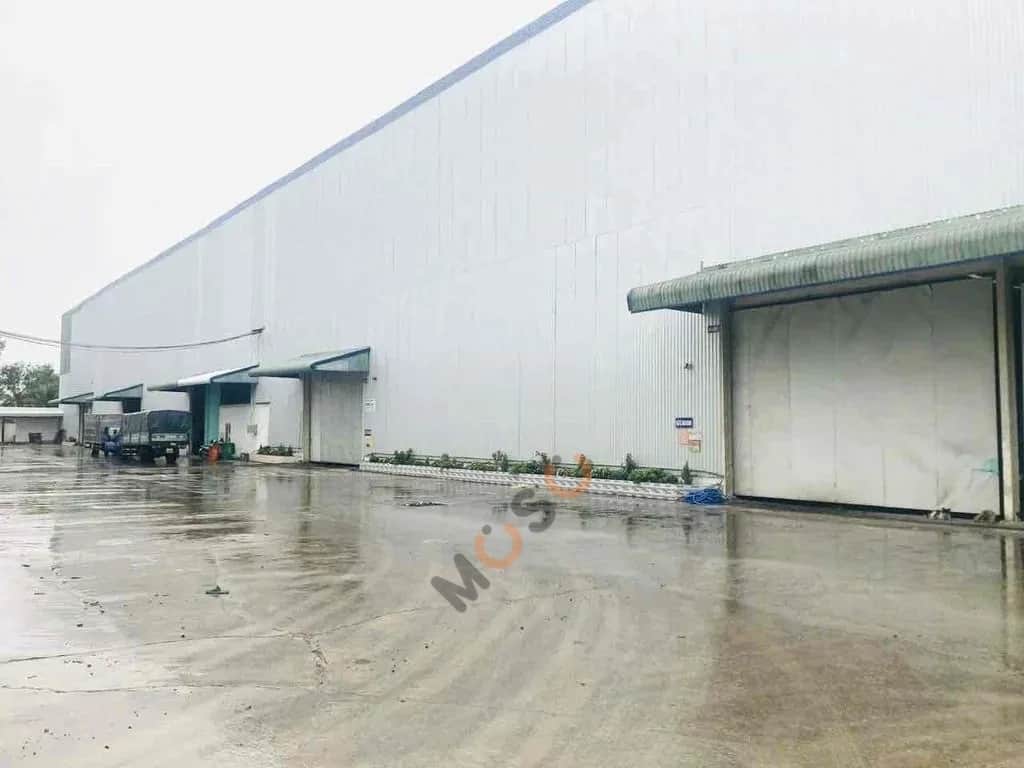 Cho thuê kho, nhà xưởng ĐT. 827D Huyện Cần Đước, Tay Ninh – giá 200 triệu Cho thuê kho, nhà xưởng ĐT. 827D Huyện Cần Đước, Tay Ninh – giá 200 triệu