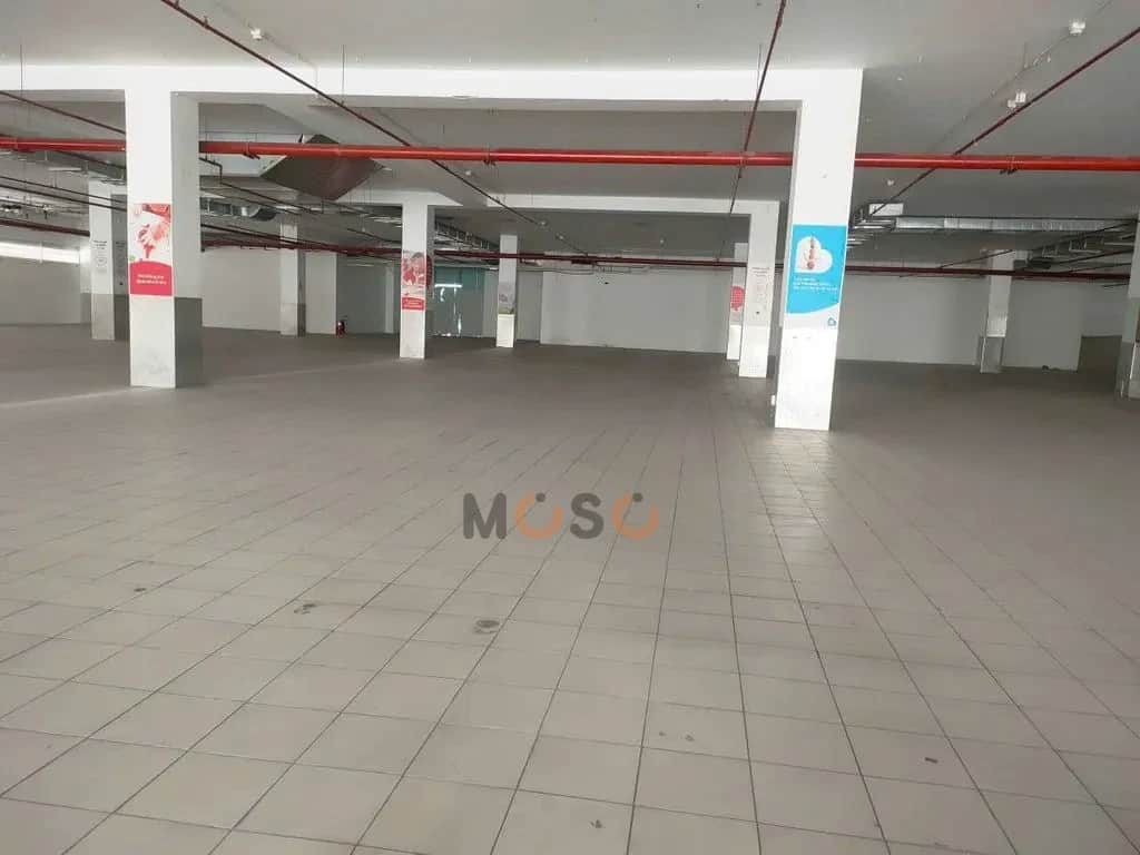 Cho thuê kho, nhà xưởng Đường Phạm Văn Chí Quận 6, TP.HCM – giá 300 triệu Cho thuê kho, nhà xưởng Đường Phạm Văn Chí Quận 6, TP.HCM – giá 300 triệu