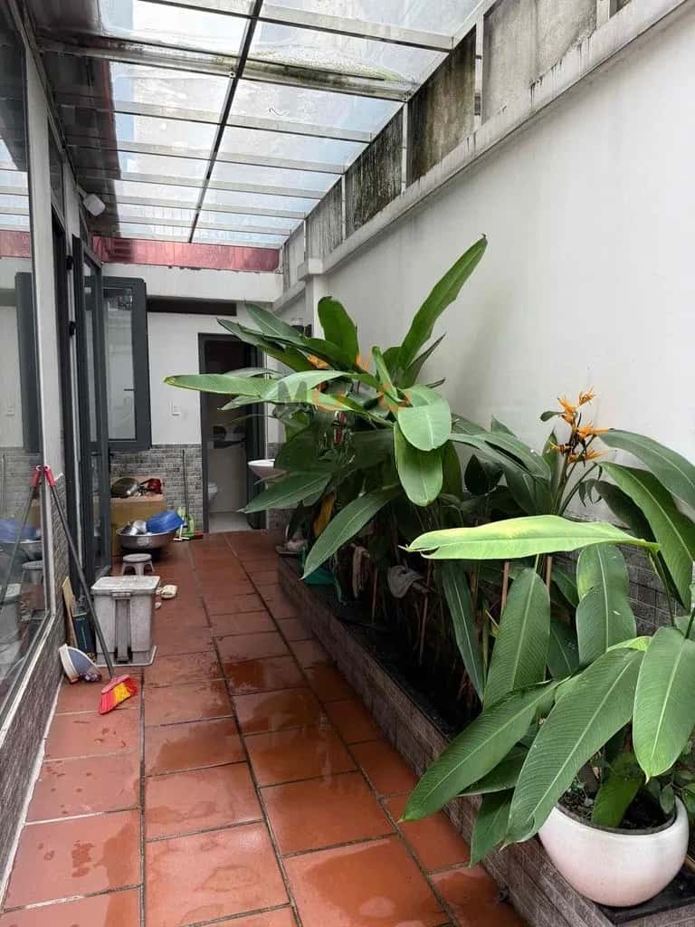 Cho thuê nhà hẻm Khu Y Tế Kỹ Thuật Cao Bình Tân, TP.HCM – 5 phòng ngủ, giá 55 triệu — Hình 3 Cho thuê nhà hẻm Khu Y Tế Kỹ Thuật Cao Bình Tân, TP.HCM – 5 phòng ngủ, giá 55 triệu — Hình 3