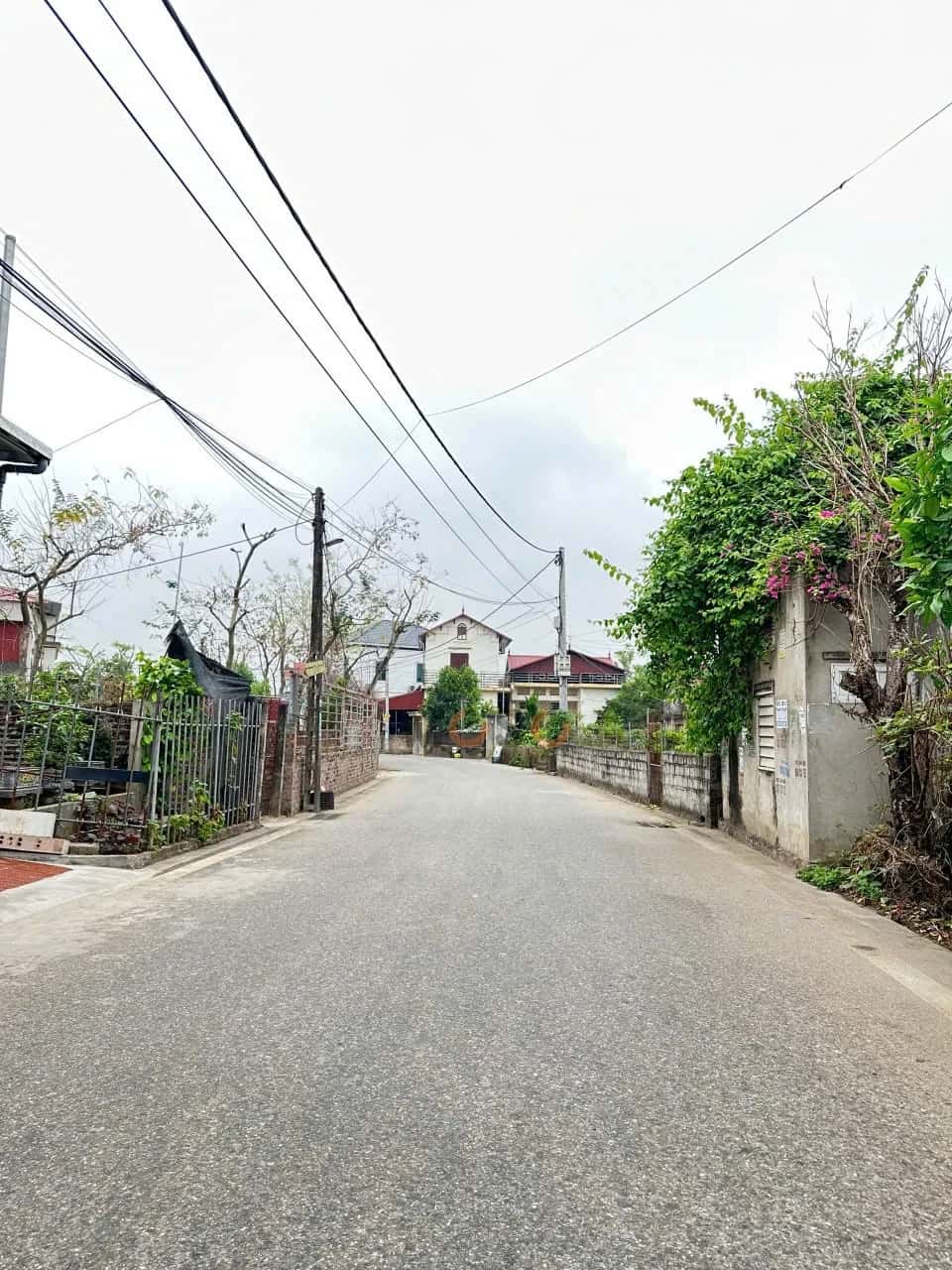 Bán đất Thôn AB Quán Trạch Huyện Văn Giang, Hưng Yên – giá 2.5 tỷ — Hình 3 Bán đất Thôn AB Quán Trạch Huyện Văn Giang, Hưng Yên – giá 2.5 tỷ — Hình 3